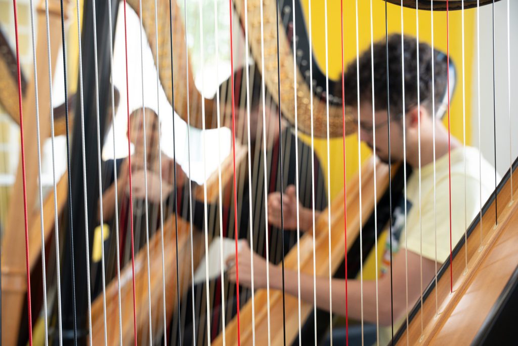 Foto ilustrativa para Festival de Cordas Dedilhadas